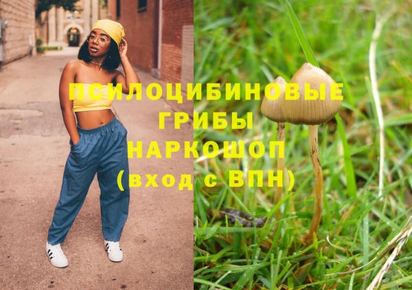 jwh Аркадак
