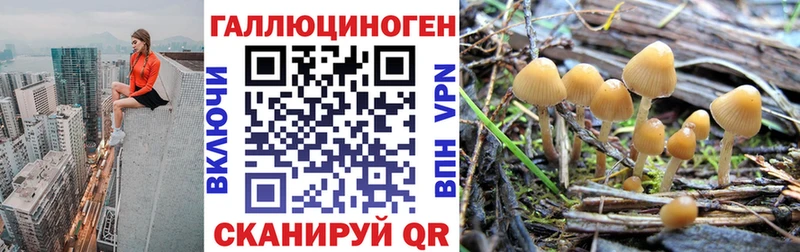 это состав Светлоград Псилоцибиновые грибы GOLDEN TEACHER