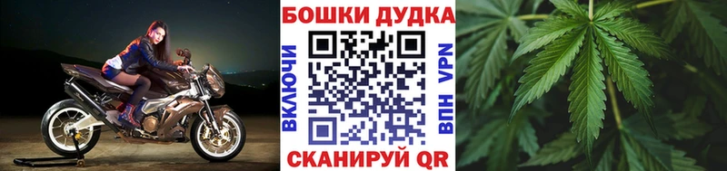 Бошки марихуана LSD WEED  где купить наркотик  Светлоград 